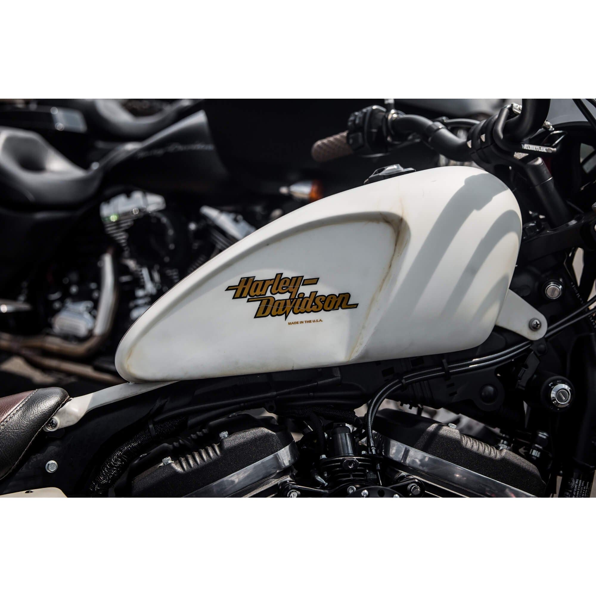 HARLEY HARLEY DAVIDSON Sportster 2020 EFI Black with Blue decals OEM  Motorcycle Fuel Gas Tank